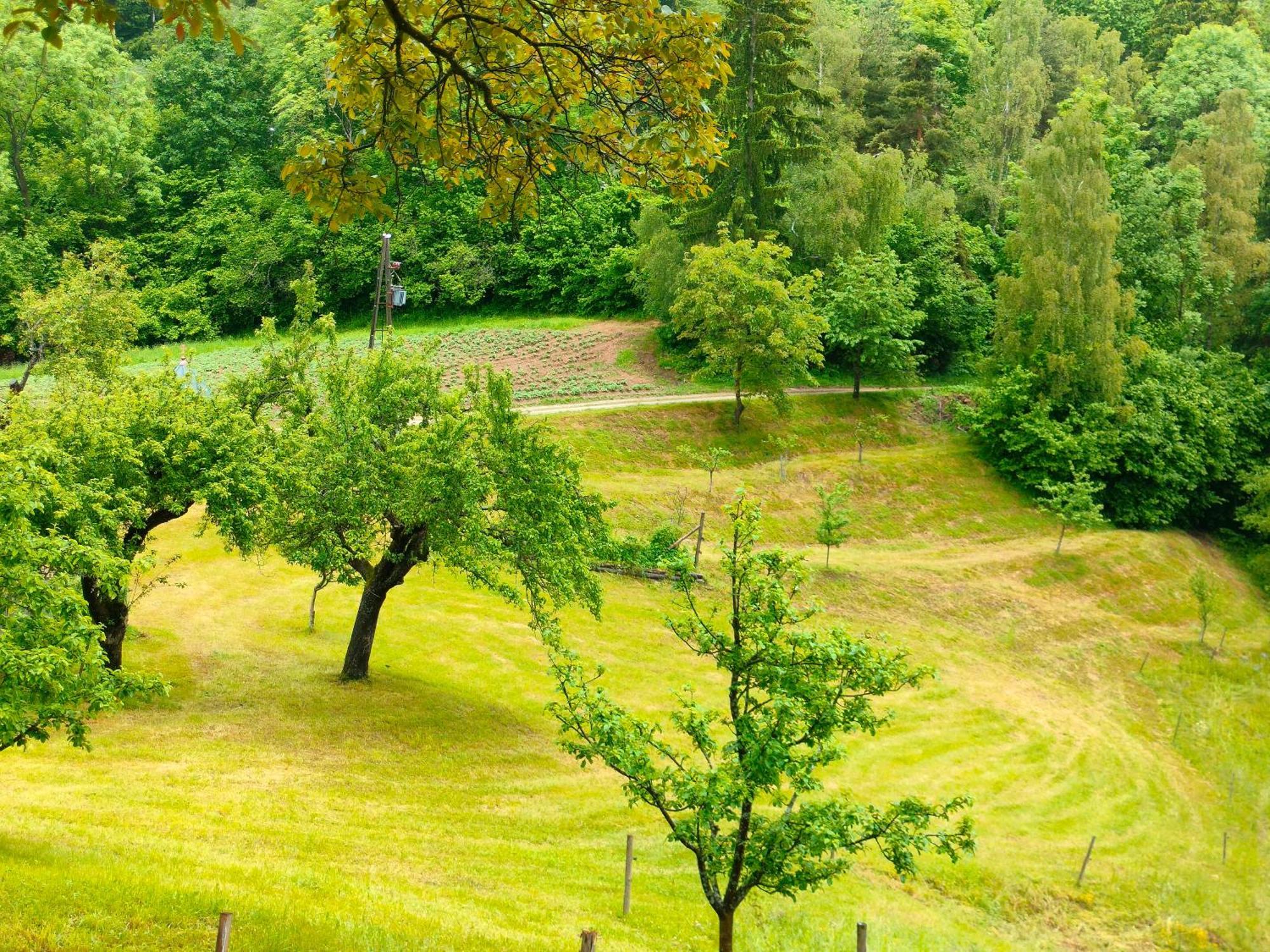 Prevalje Apartments Organic Tourist Farm Gradisnik מראה חיצוני תמונה