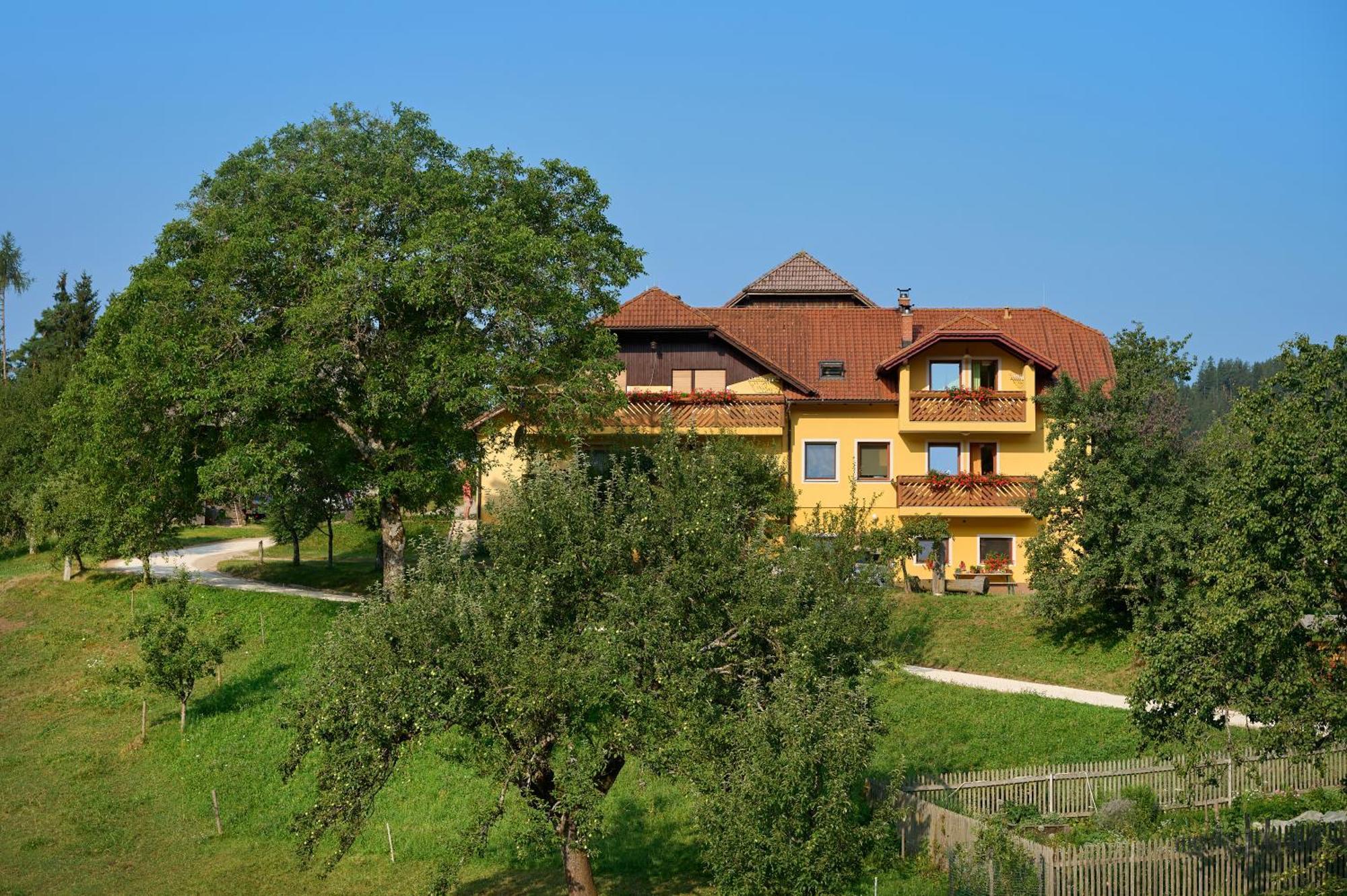 Prevalje Apartments Organic Tourist Farm Gradisnik מראה חיצוני תמונה