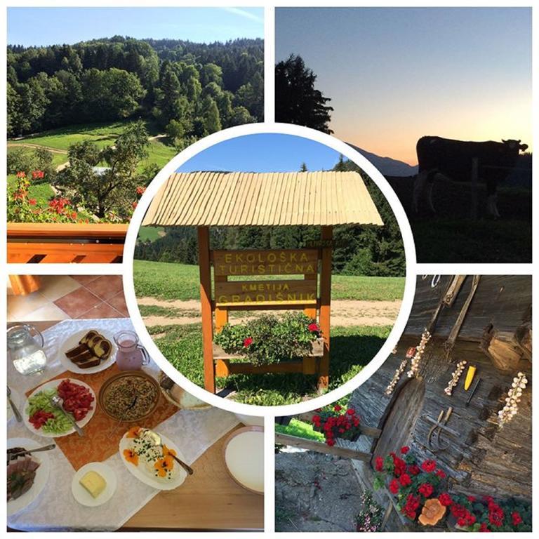 Prevalje Apartments Organic Tourist Farm Gradisnik מראה חיצוני תמונה